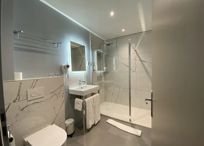 Logis Du Parc Hotel 3*