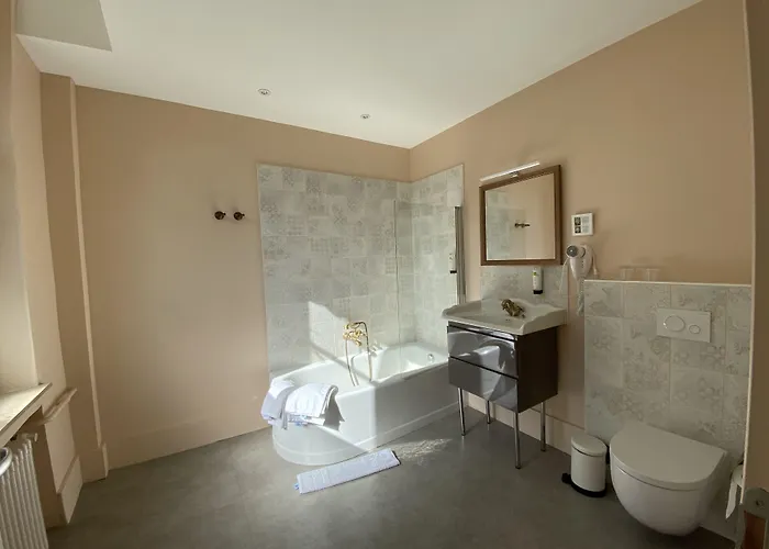 Logis Du Parc Hotel 3*